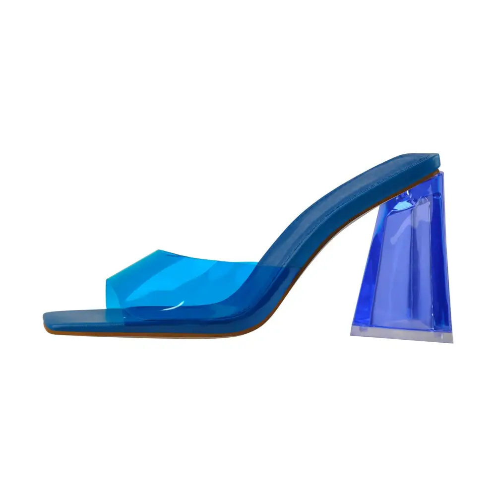 Clear Chunky Heel Mule Sandals