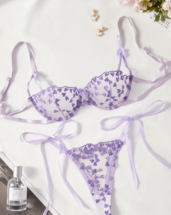 Heart Embroidered Sheer Lingerie Set