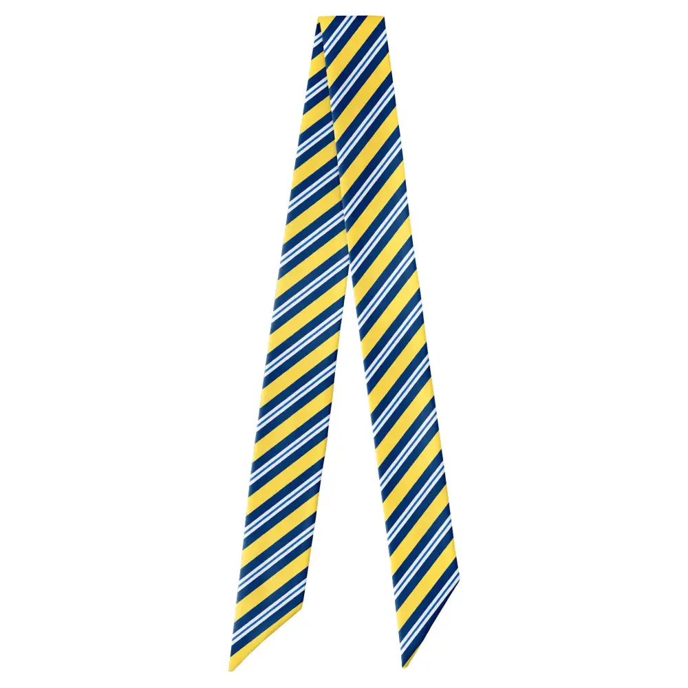 Bruce Stripe Pattern Hair Scarf