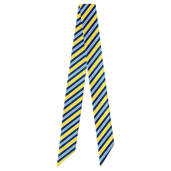 Bruce Stripe Pattern Hair Scarf