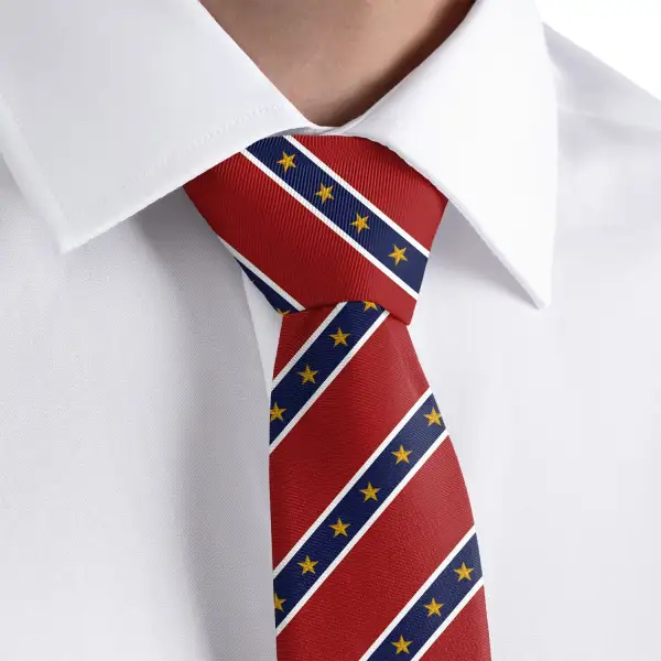 Modern Stripe Accent Necktie