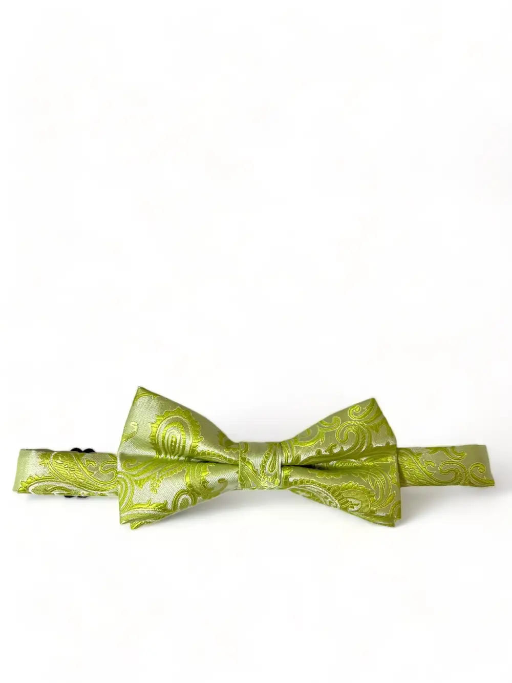 Occasion Paisley Polyester Bow Tie