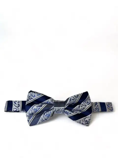 Well-Dressed Striped Silk Bow Tie Set