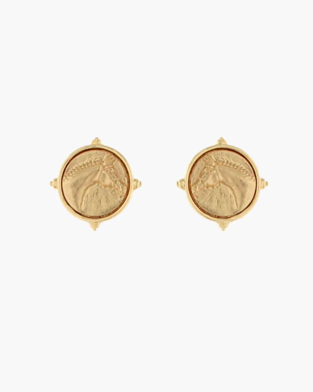 Horse Head Coin Earrings