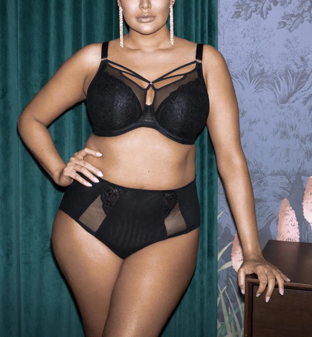 High-Waist Lace Mesh Full-Coverage Brief Panty