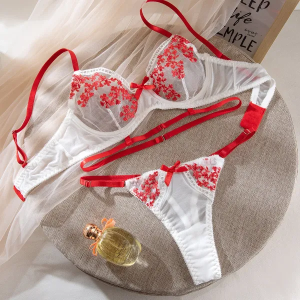 Contrast Embroidered Mesh Coordinated Bra Set
