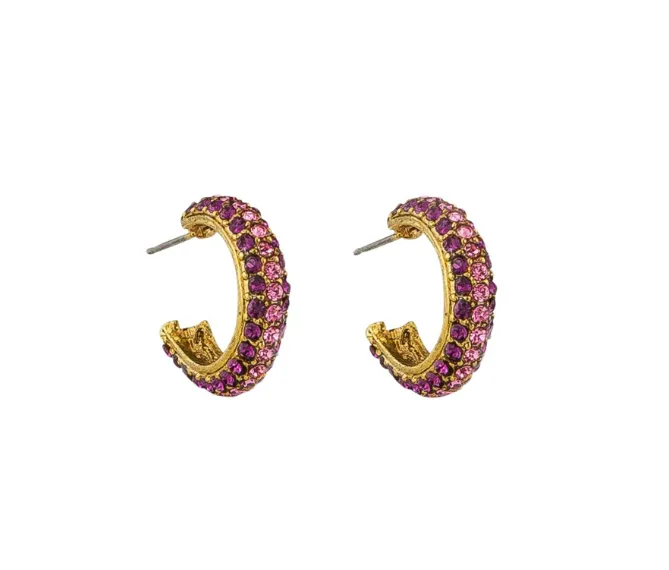 Gorgeous Tones Crystal Hoops
