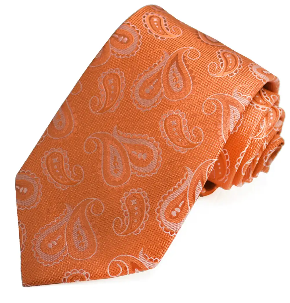 Stylish Essential Paisley Men's Necktie