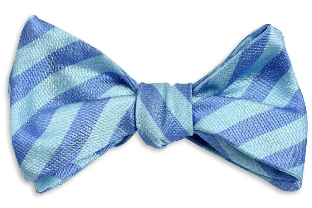 Charming Dress Striped Bow Tie