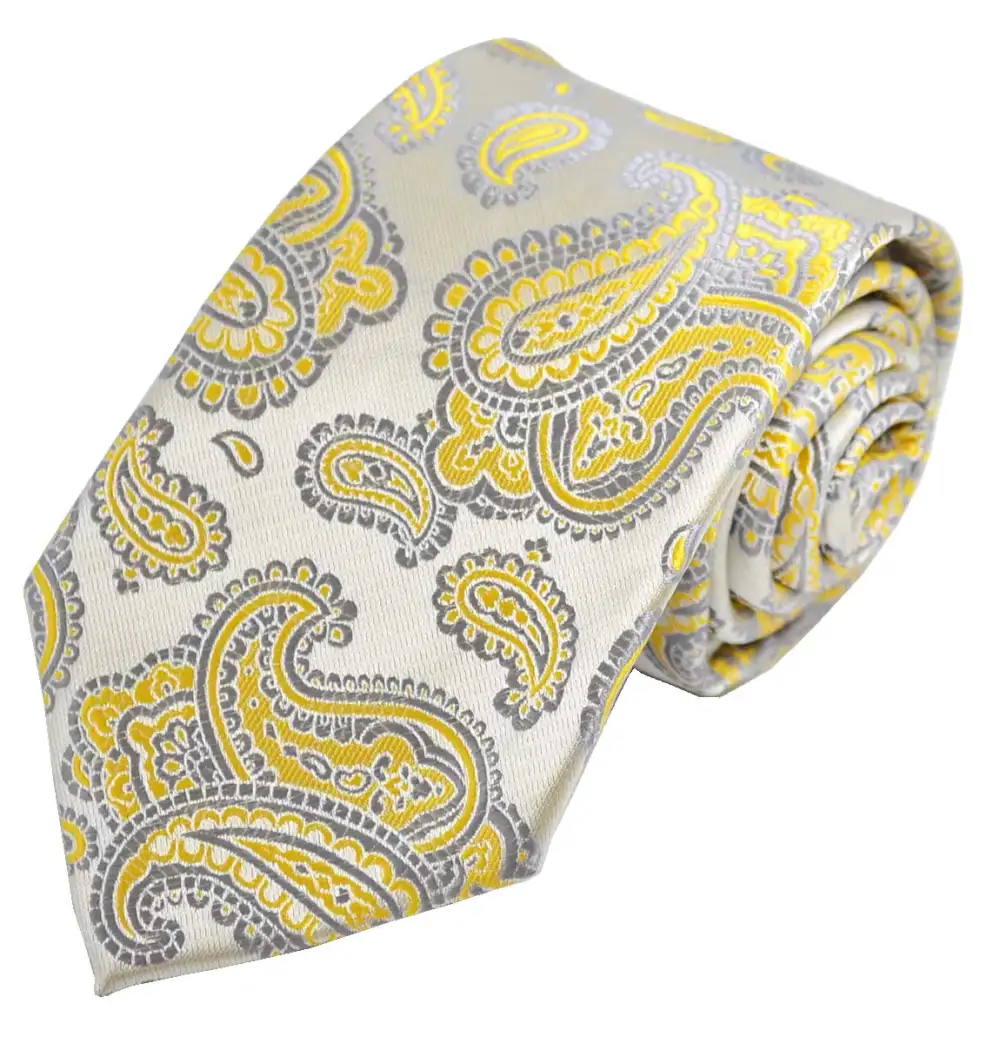 Formal Paisley Men's Necktie