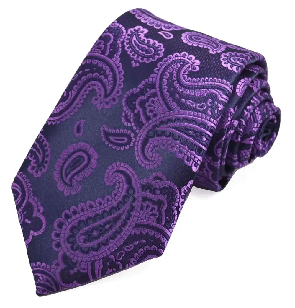 Bold Essential Paisley Men's Necktie