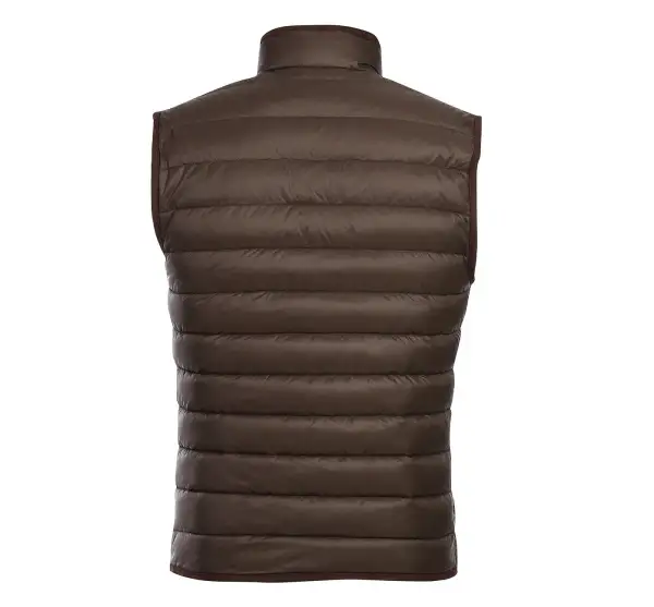 Brown Classic Fit Dress Vest