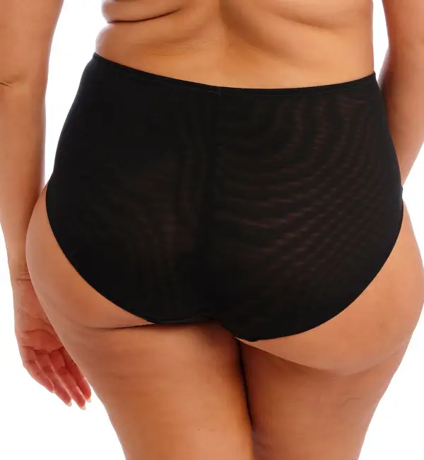 High-Waist Lace Mesh Full-Coverage Brief Panty