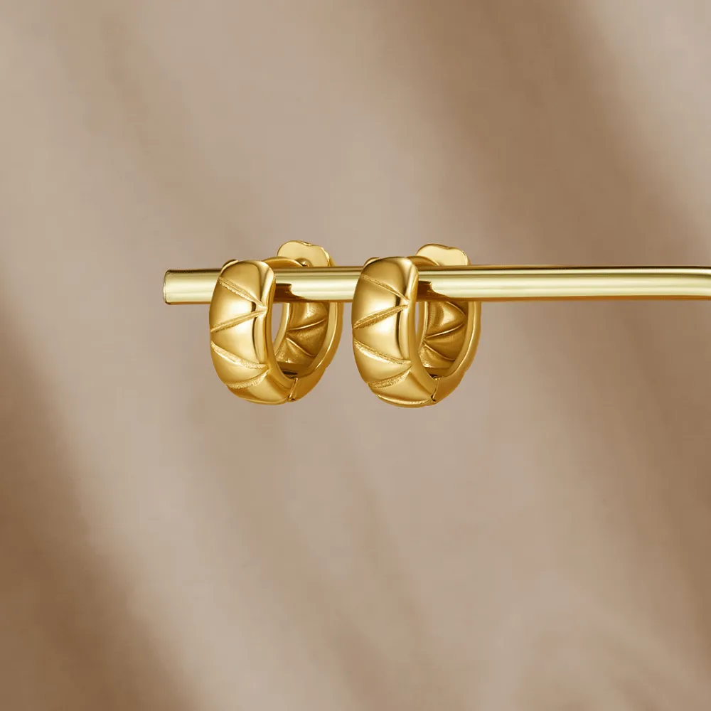 Hoop Chunky Earrings