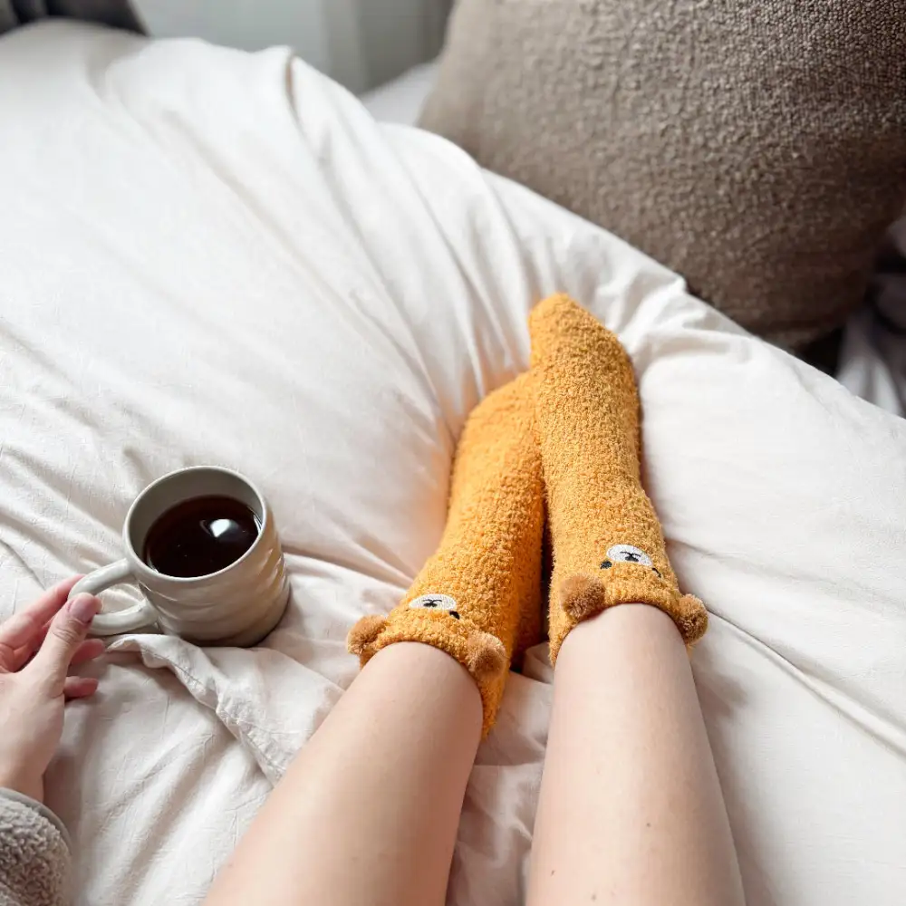 Soft Teddy Bear Socks Pack