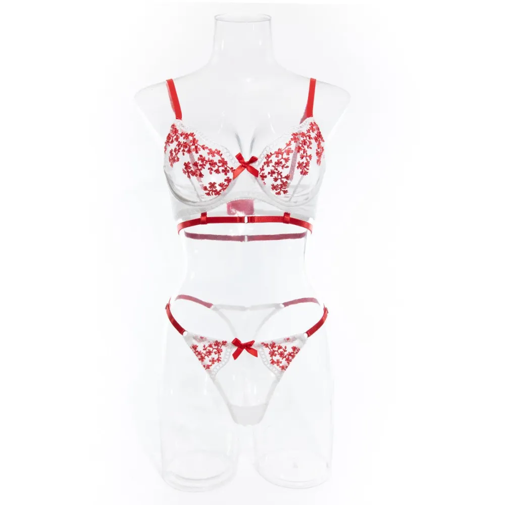 Contrast Embroidered Mesh Coordinated Bra Set