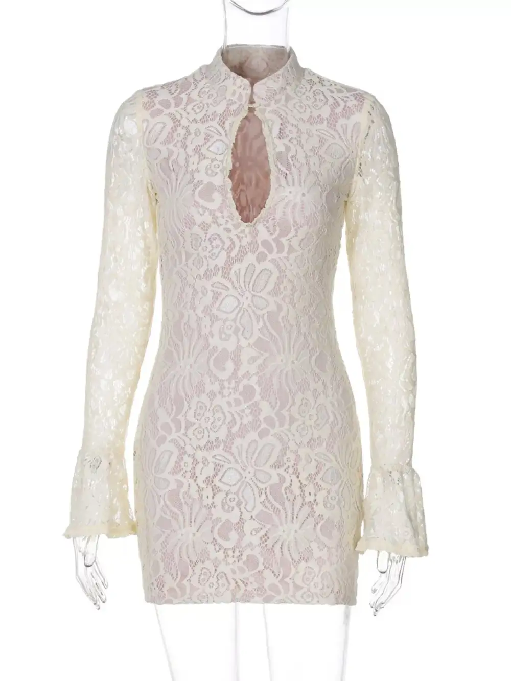Lace Cutout Long Sleeve Mini Dress