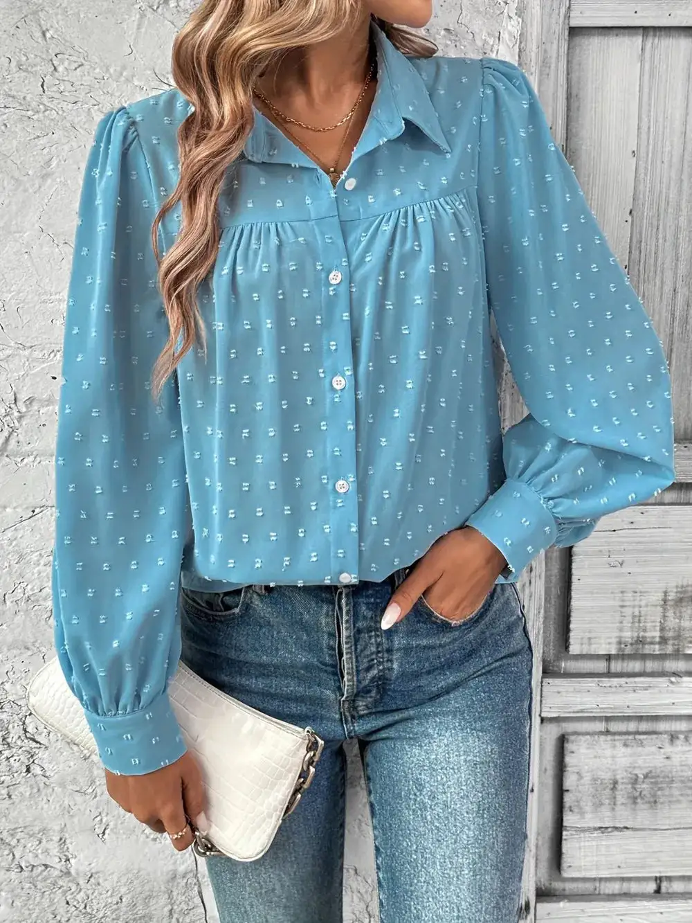 Swiss Dot Collared Neck Long Sleeve Shirt
