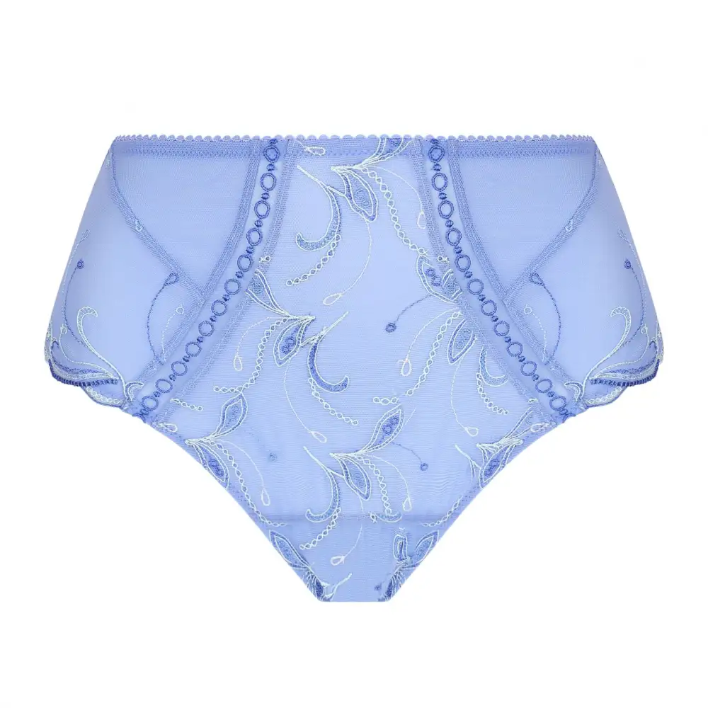 Women's Full Coverage Flat Seams Cotton Gusset Embroidery Mesh Sheer Detail Cotton Cutout Detail Shaping Lightweight Soft Fabric Supportive Fit Brief Panty