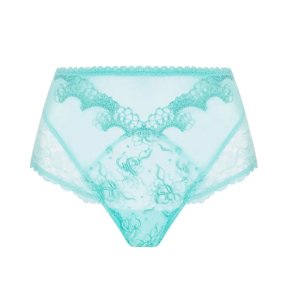 Women's Full Coverage Elastic Waistband Cotton Gusset Lace Embroidery Mesh Microfiber Cotton Brief Panty