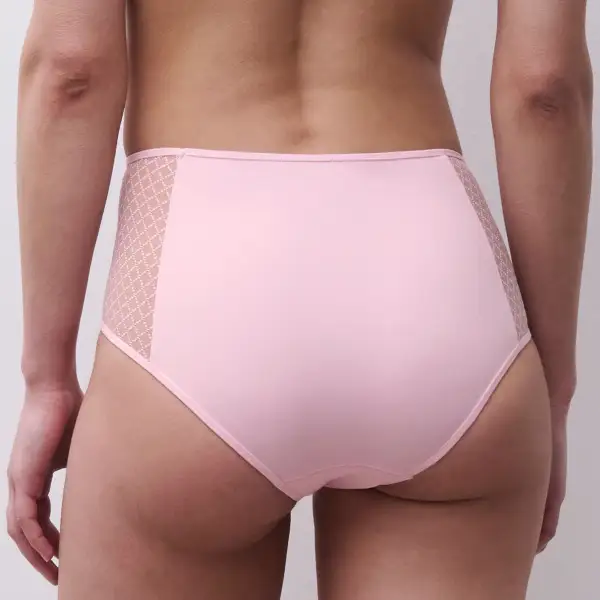 Women's Full Coverage Cotton Gusset Lace Microfiber Cotton Supportive Fit Brief Panty