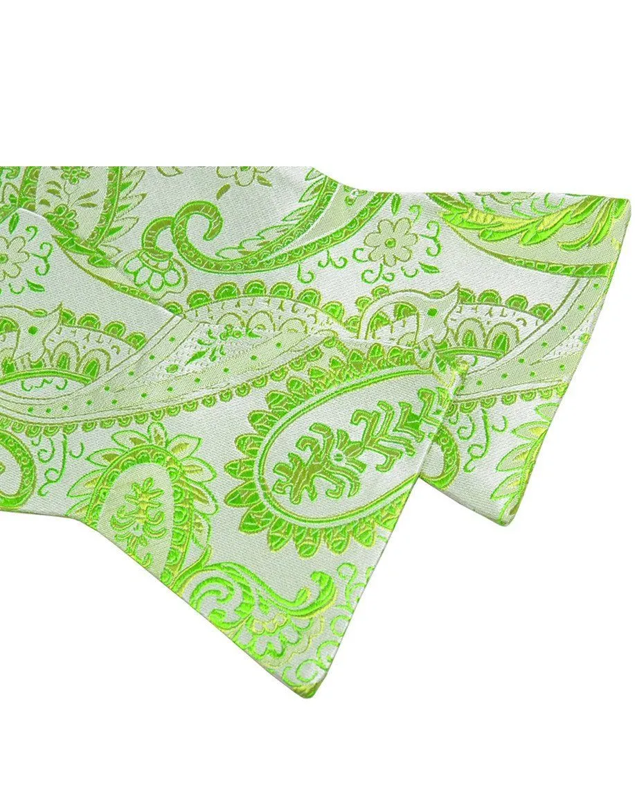Polished Paisley Silk Bow Tie