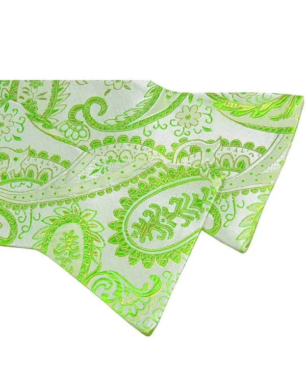 Polished Paisley Silk Bow Tie