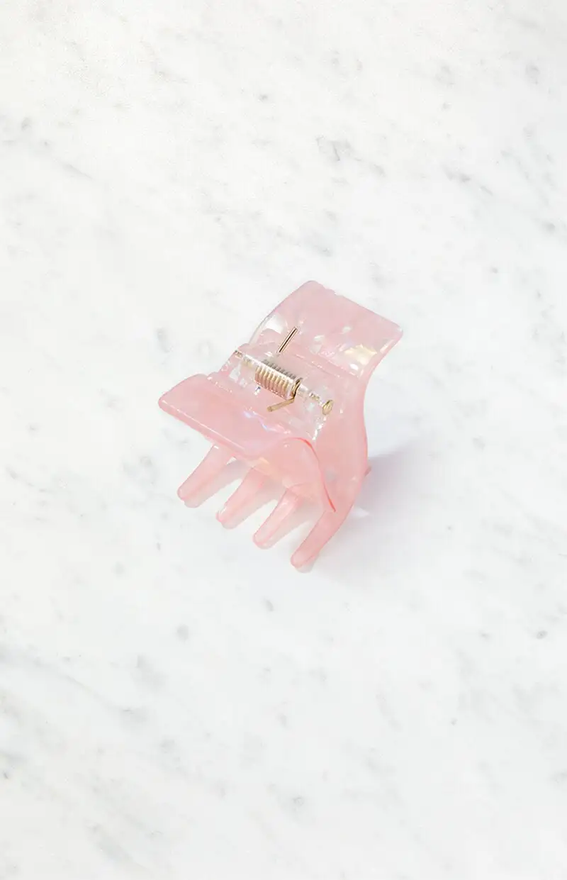 PacSun Mini Hair Clip