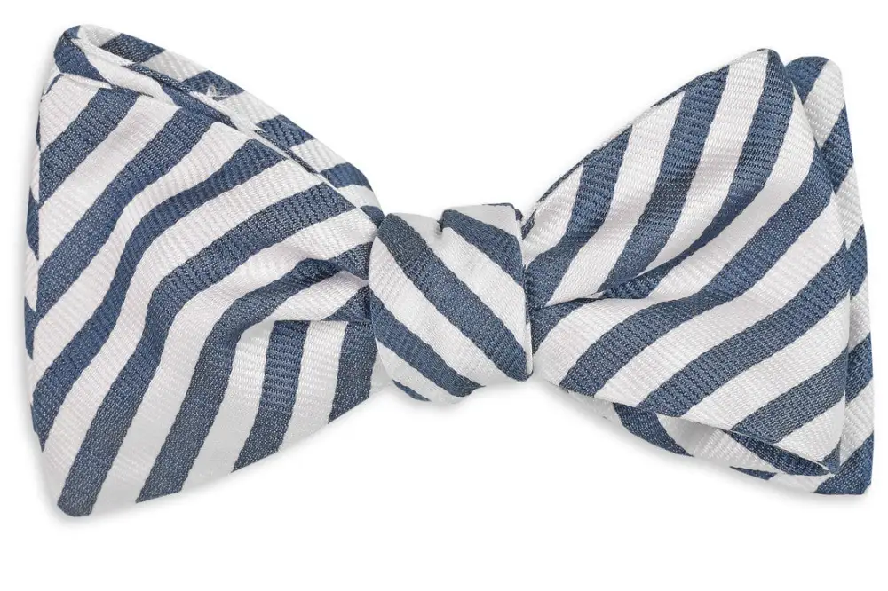 Tailored Patterned Striped Bow Tie