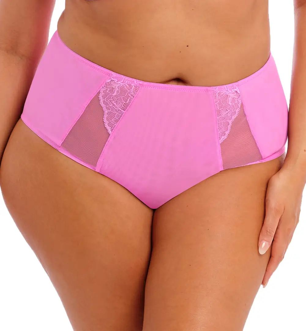 Modern High-Waist Lace Mesh Full-Coverage Brief Panty