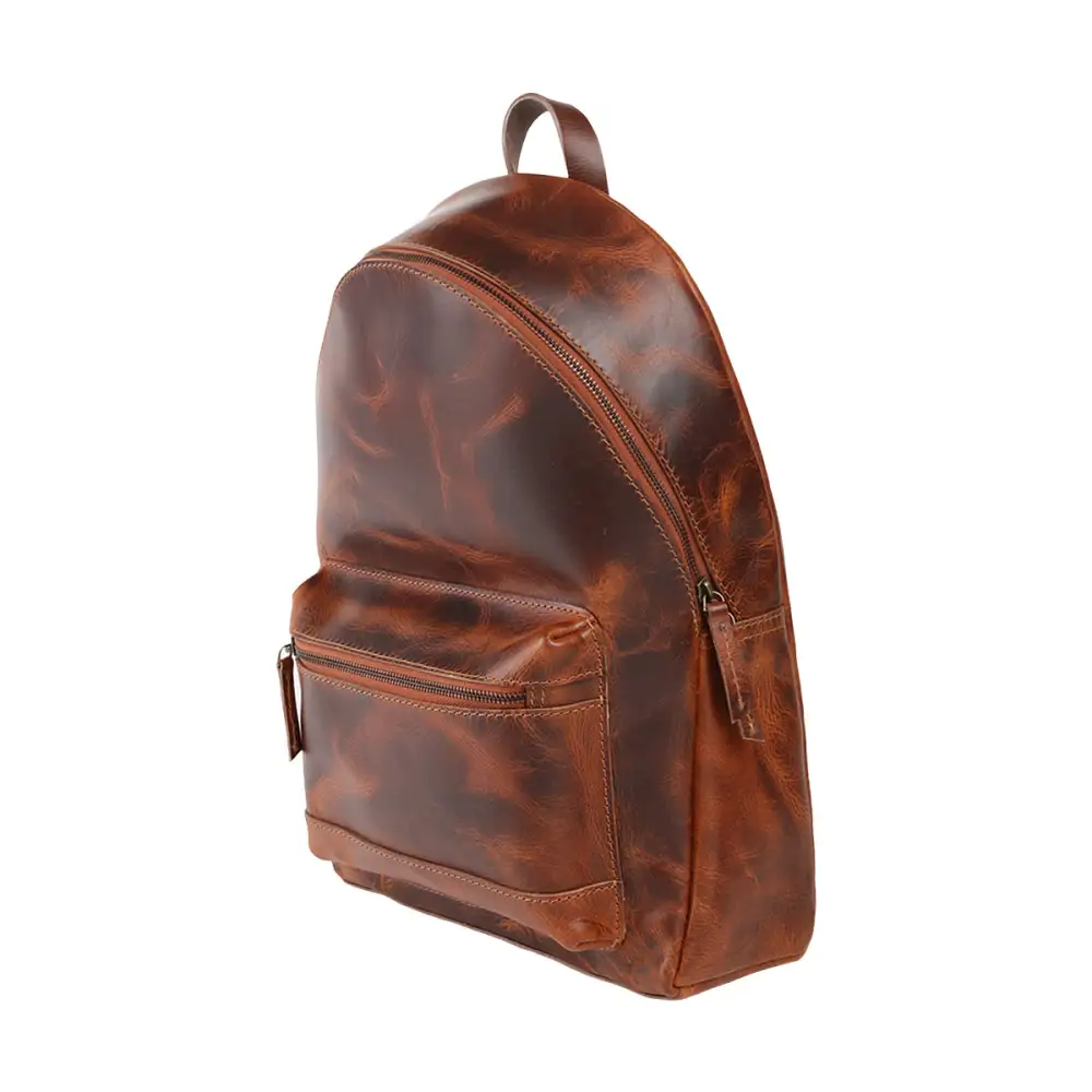 Unlined Organized Leather Backpack