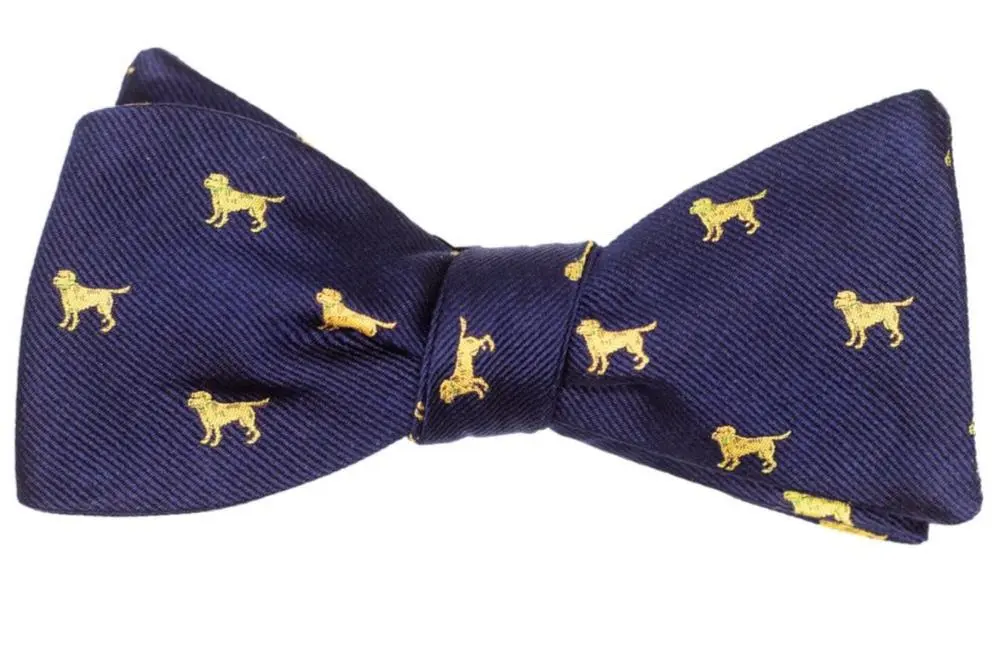 Polished Celebration Silk Bow Tie