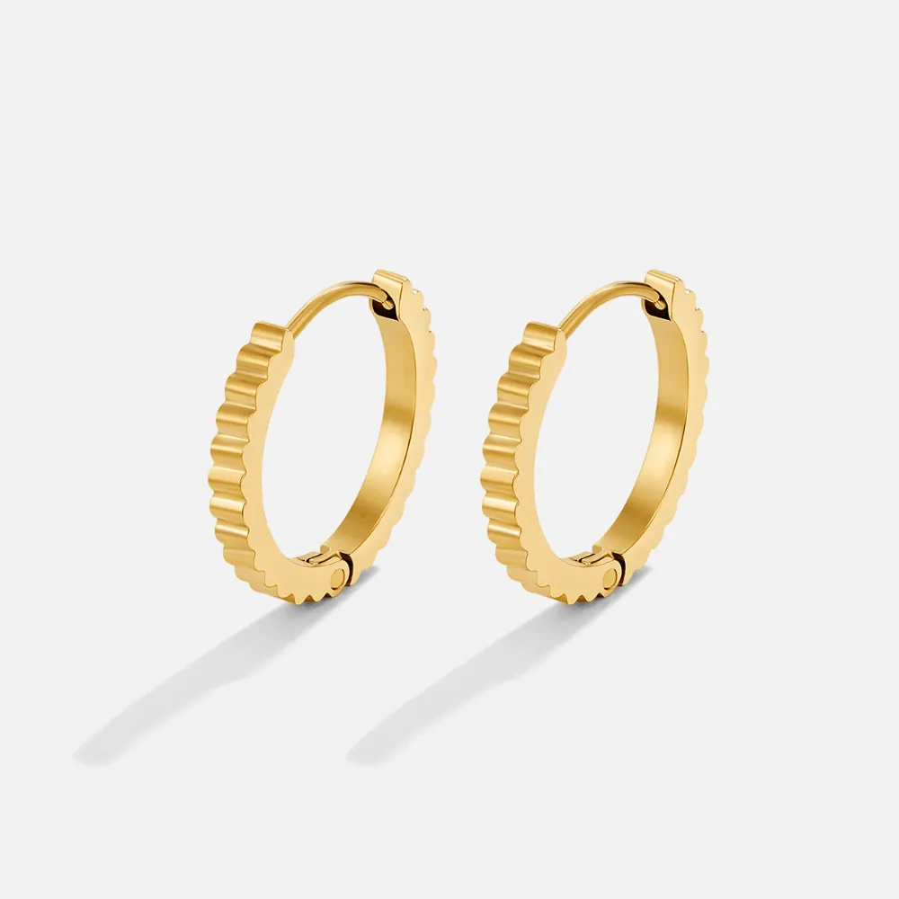Graceful Hoop Earrings