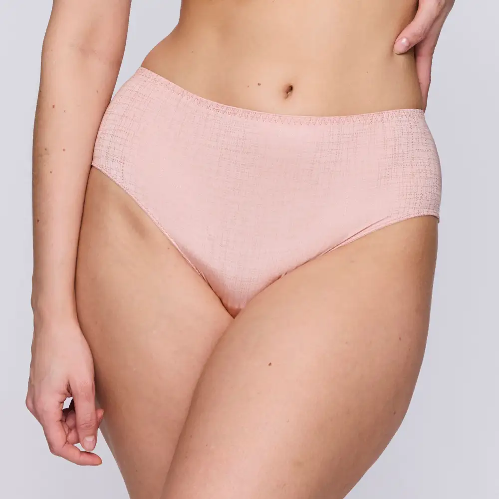 Women's Shimmer Detail Retro Detail Soft Fabric Brief Panty