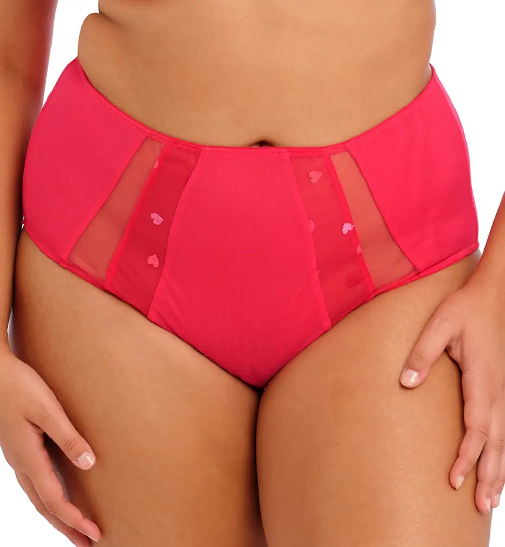 High-Waist Mesh Embroidered Full-Coverage Brief Panty
