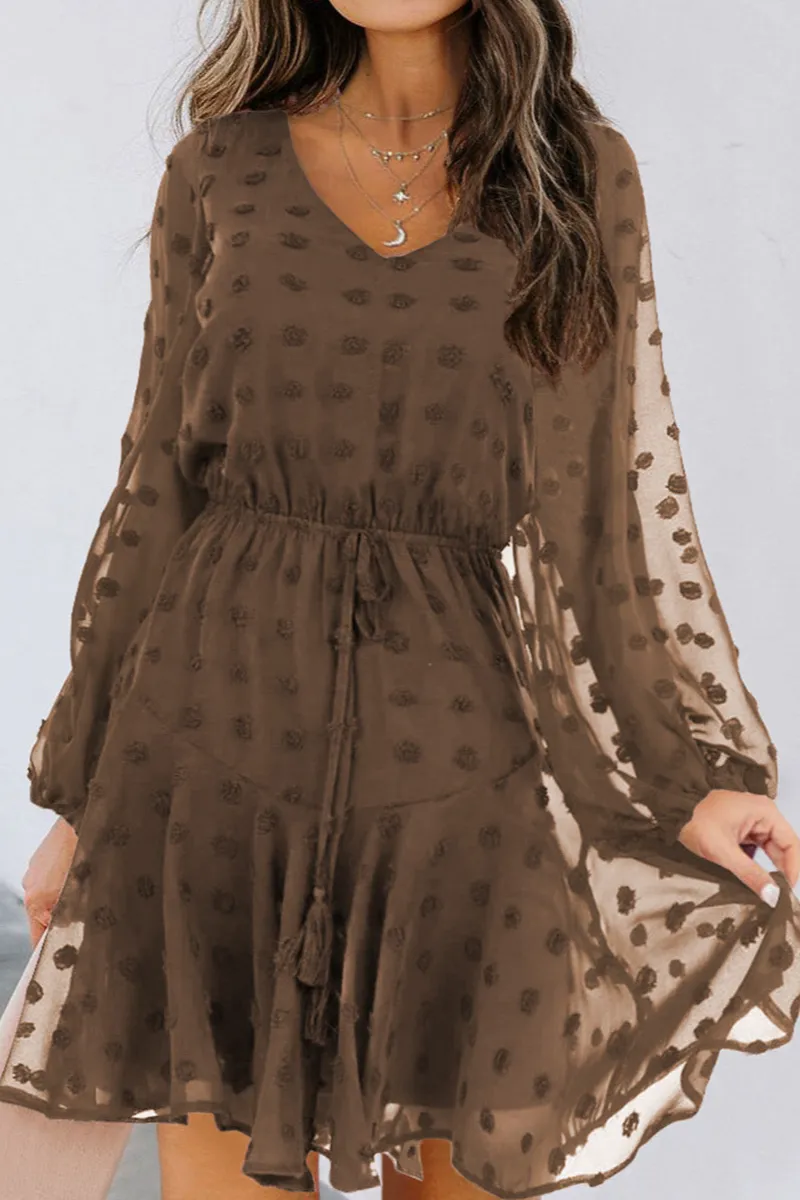 Swiss Dot Long Sleeve Mini Dress With Waist Tie