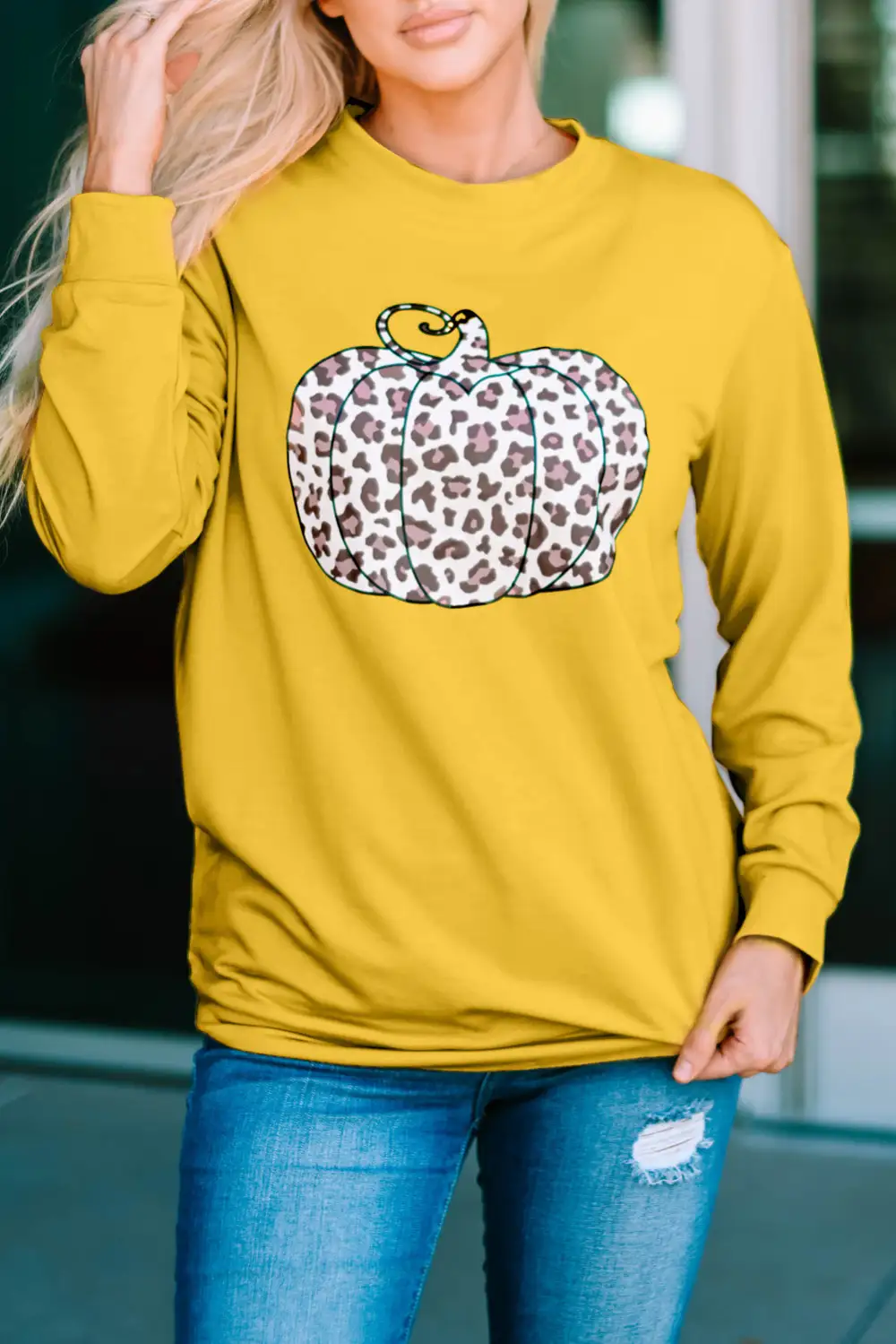 Animal Print Pumpkin Graphic Sweatshirt