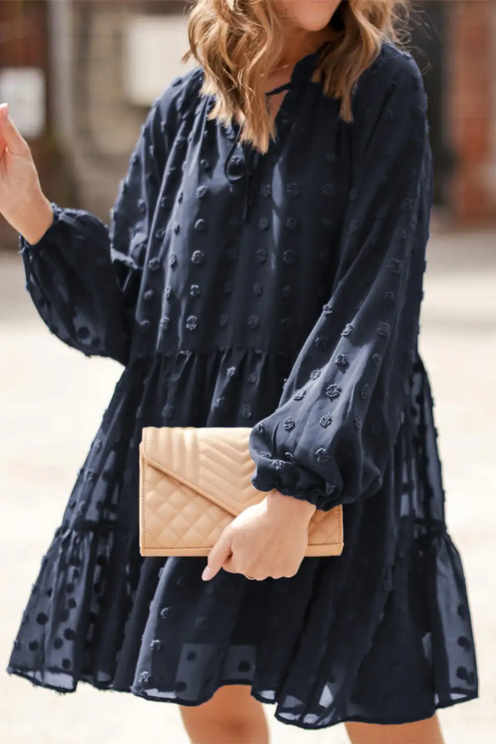 Dark Swiss Dot Mesh Long Puff Sleeve Mini Dress