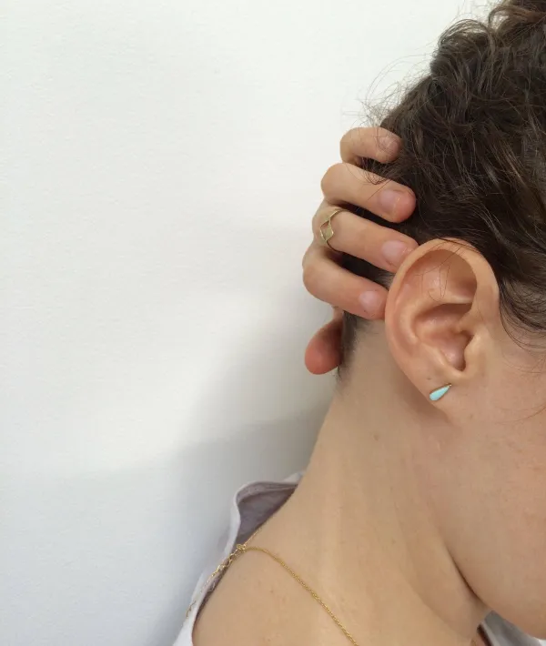 Delicate Accent Earrings