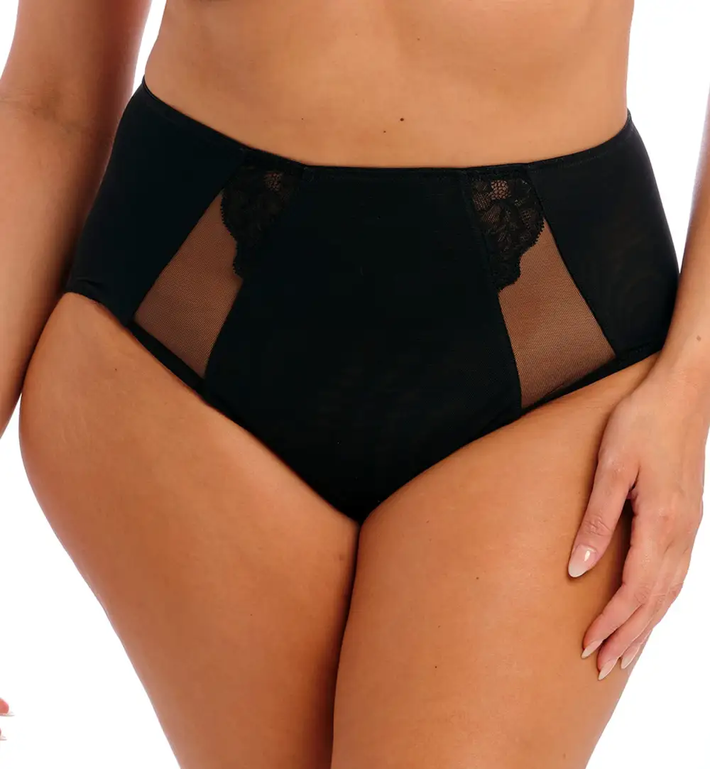 High-Waist Lace Mesh Full-Coverage Brief Panty