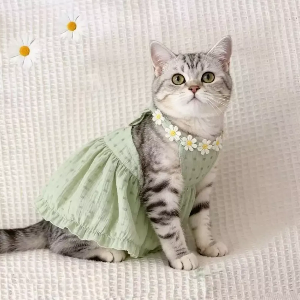 Cat Summer Dress Cute Skirt Preventing Hair Loss Strap Skirt