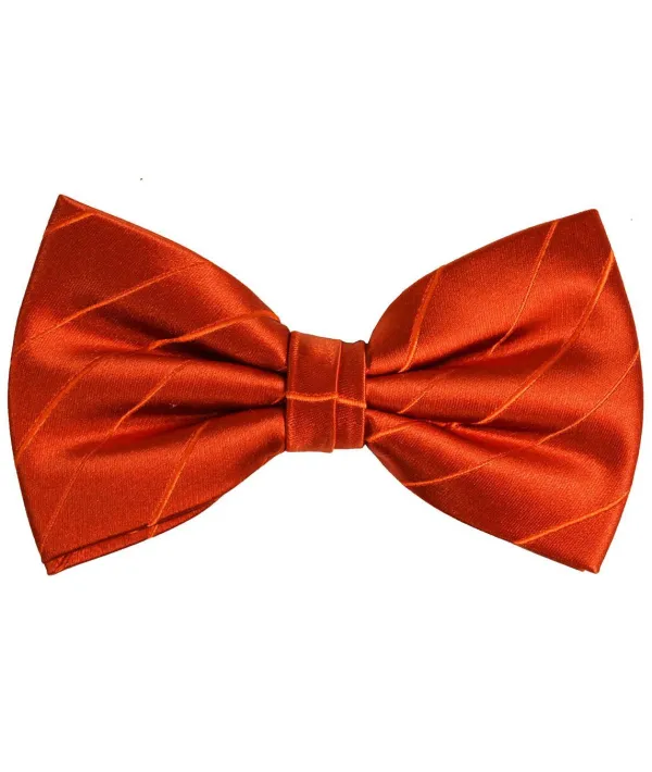 Contemporary Silk Bow Tie