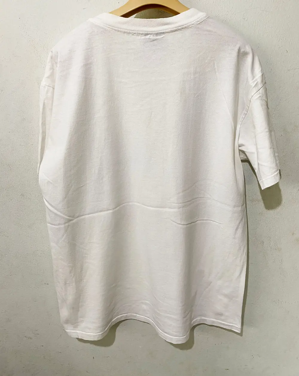 Bird Graphic Casual Printed T - Shirt