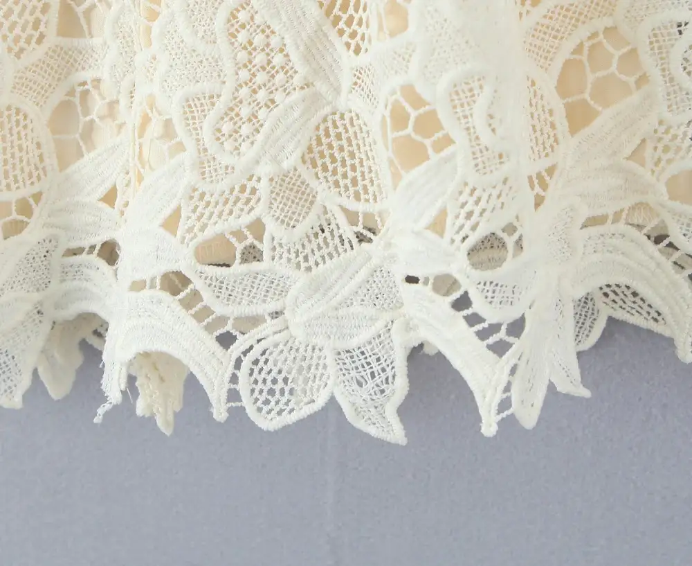 Refined Lace Embroidered Mini Dress