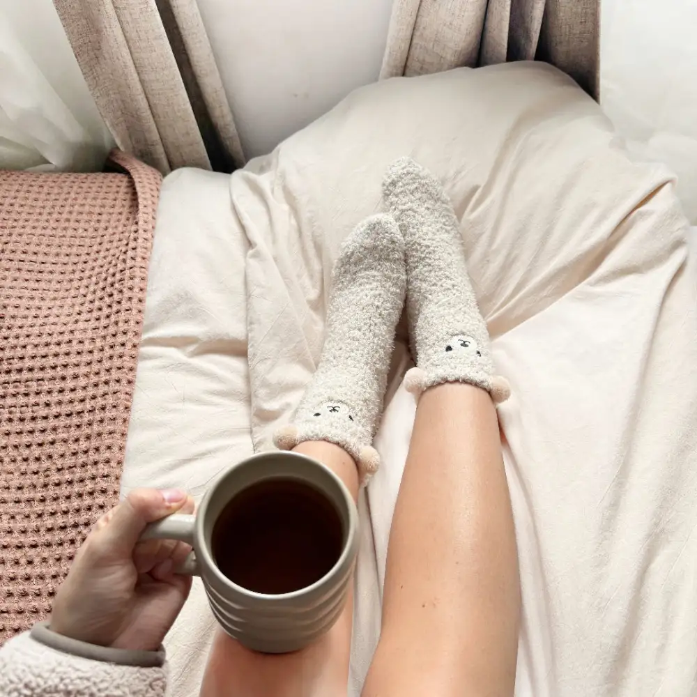 Soft Teddy Bear Socks Pack