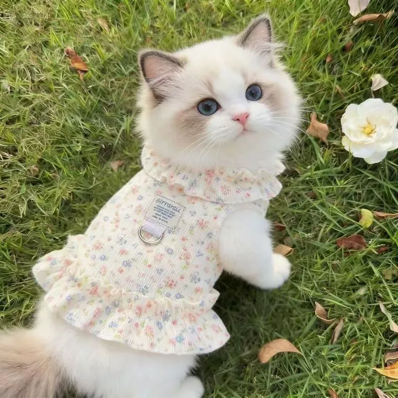 Pet Summer Clothes Floral Ruffle with D-ring Pet Harness Vest for Cat Small Dog Baju Kucing Anjing