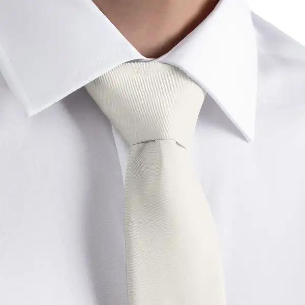 Distinctive Solid Accent Necktie