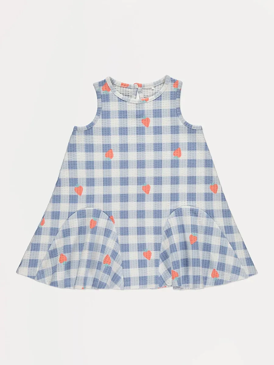 Blue Gingham Strawberry Ribbed Dress