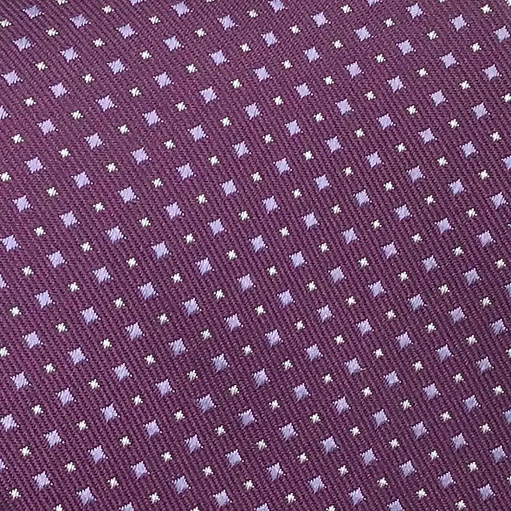 Silk Plum Tie