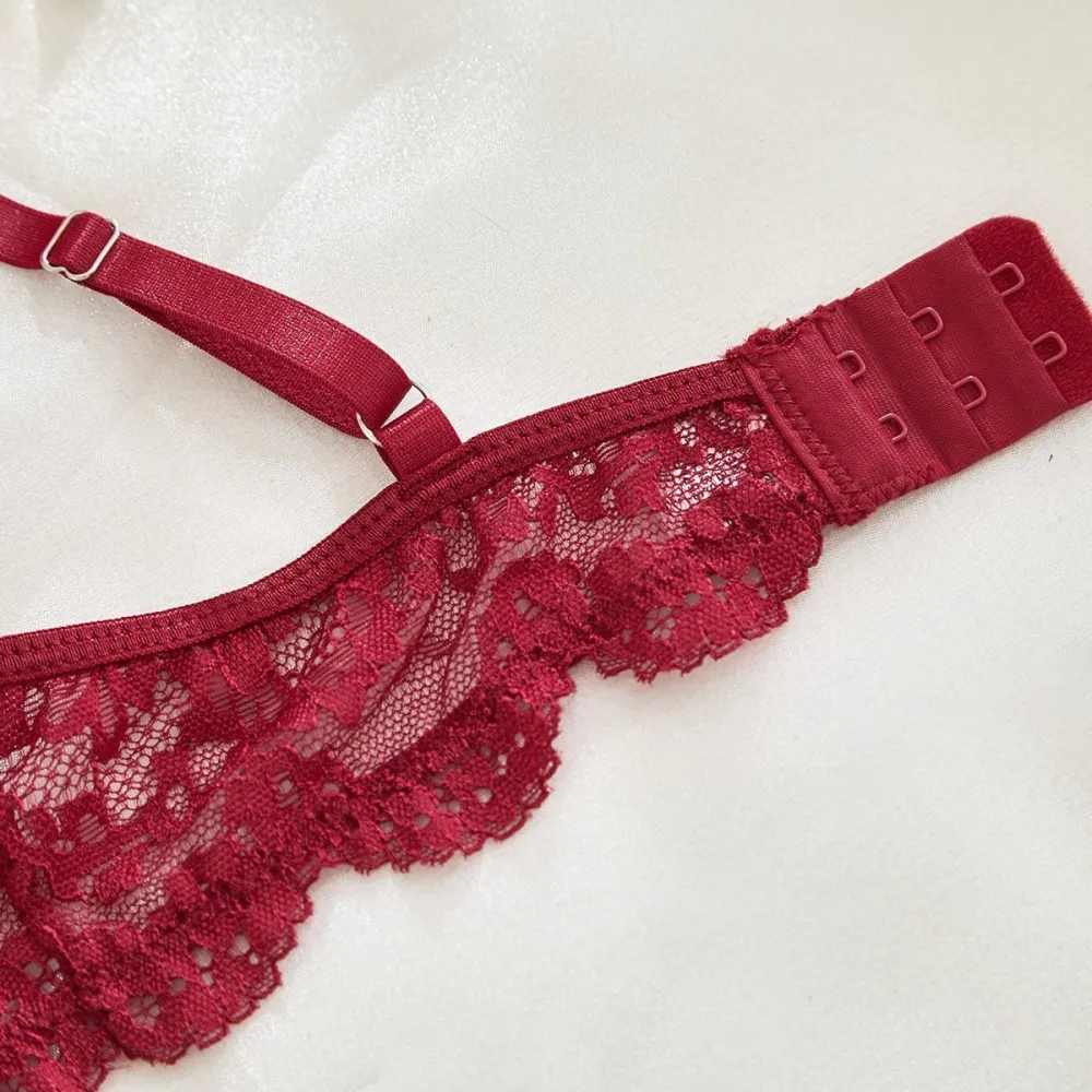 Sheer Lace Suspender Bra And Panty Set